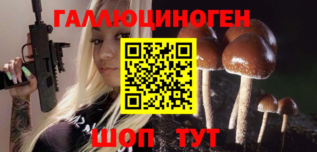 Псилоцибиновые грибы GOLDEN TEACHER  Вход с VPN  Орск 